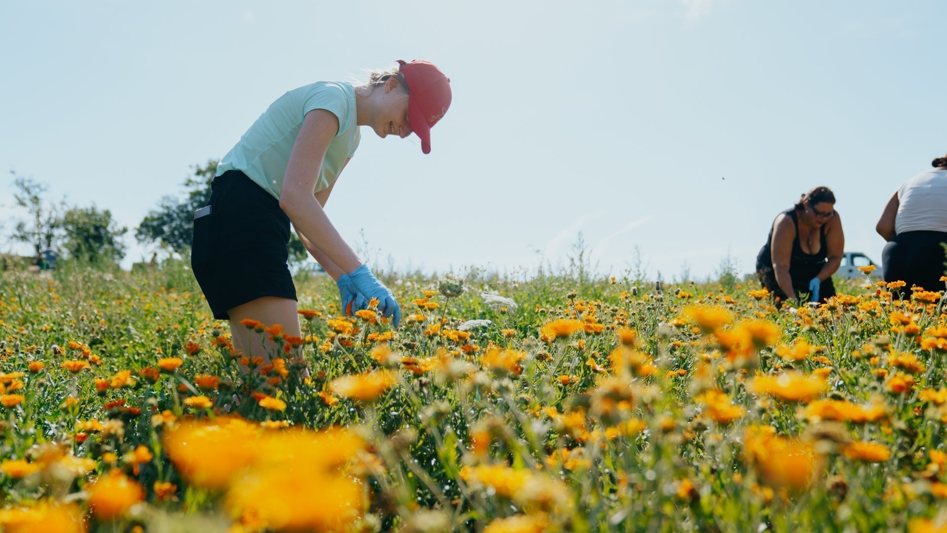 Why and how to start with natural cosmetics?