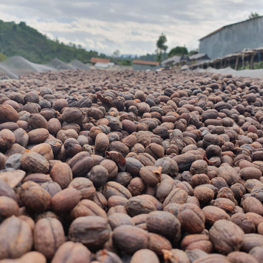 Fair Trade bio kávébabot Etiópia Sidamo 500 g